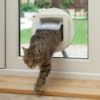 Willoughby Glass supply and install Pet Doors to allow your pet easy access to the comforts of home or the freedom of outdoors.