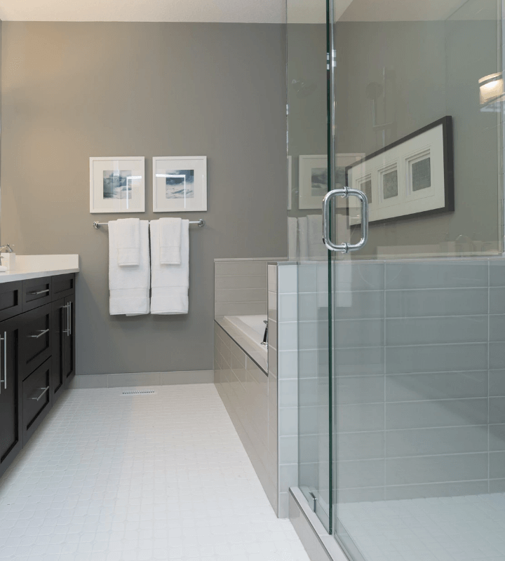 Bathroom Frameless Shower Screens